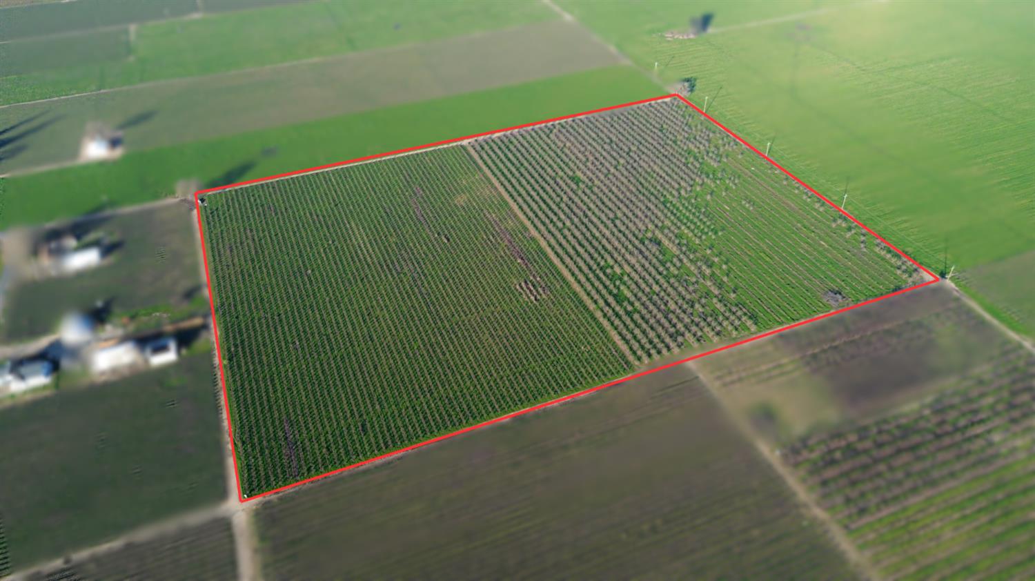 15910 North Locust Tree Road Lodi, CA 95240 - Photo 6 of 24