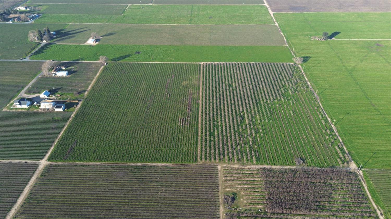 15910 North Locust Tree Road Lodi, CA 95240 - Photo 7 of 24 a view of a tennis court