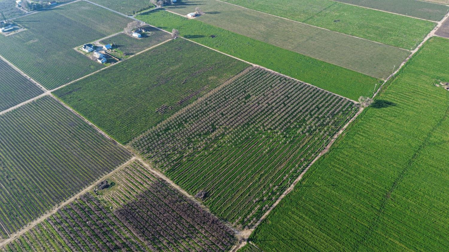 15910 North Locust Tree Road Lodi, CA 95240 - Photo 8 of 24 a view of a tennis court