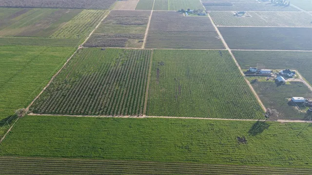 a green field with lots of green trees in the background