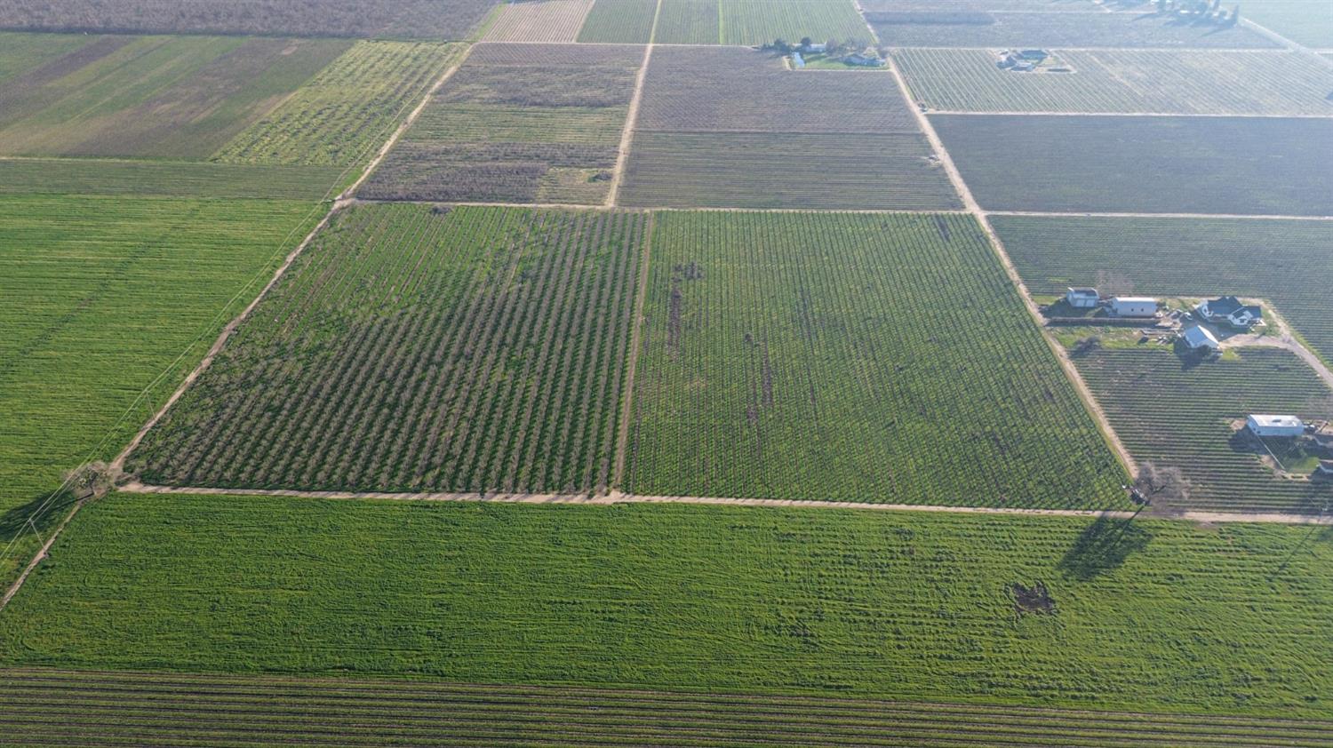 15910 North Locust Tree Road Lodi, CA 95240 - Photo 10 of 24 a view of a tennis court