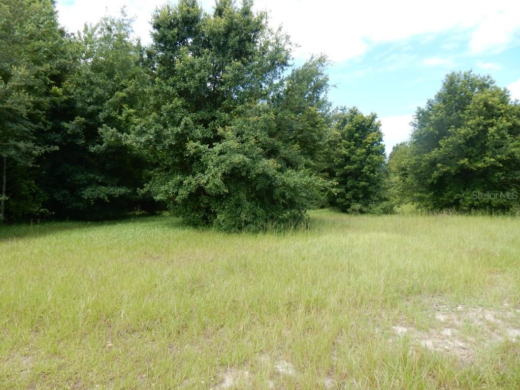 8536 Florida Boys Ranch Road Groveland, FL 34736 - Photo 1 of 1 Gallery Image 1