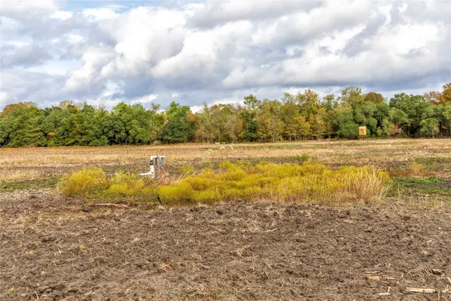 a view of an ocean and beach