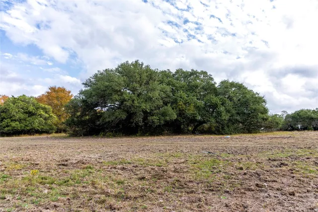 a view of a lake with a yard and large trees