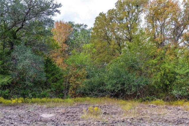 a backyard of a house