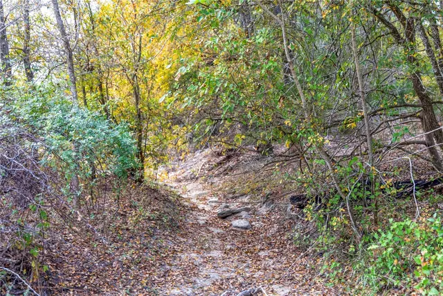 a view of outdoor space and trees