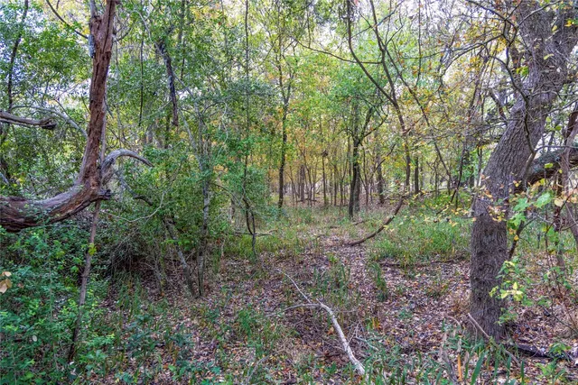 a view of a swimming pool with a backyard