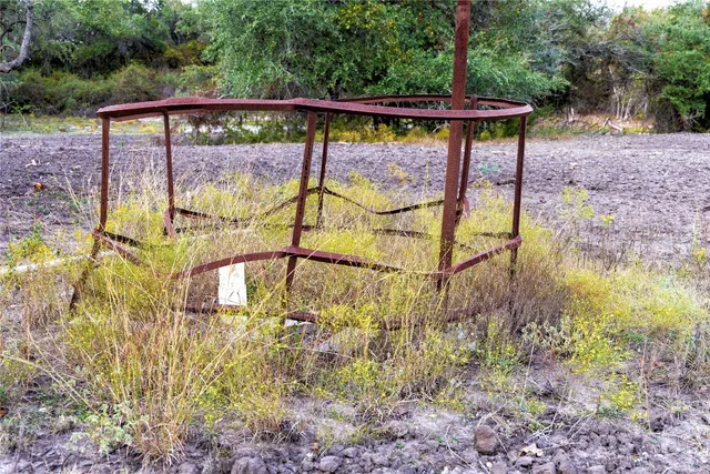 a view of a forest filled with trees