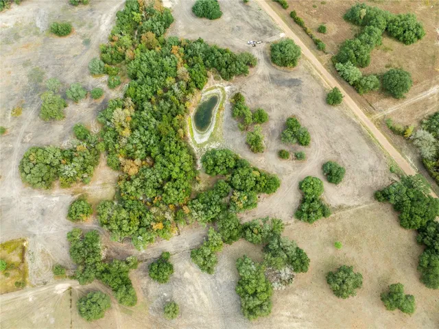 a view of a garden with plants
