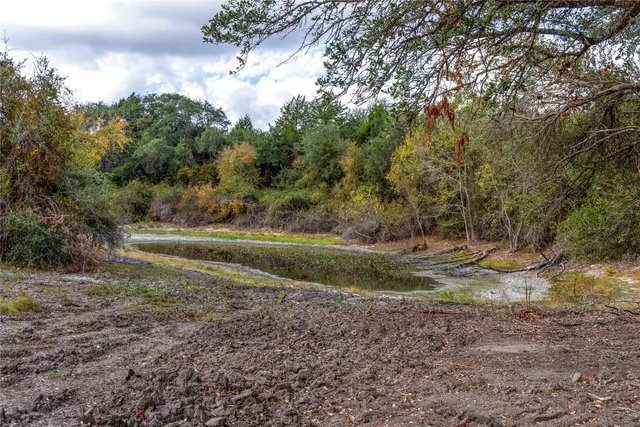 a view of a yard with a tree