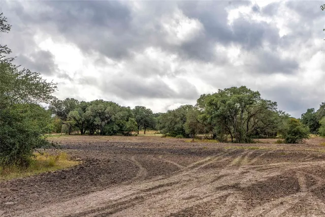 a view of a field with trees in background