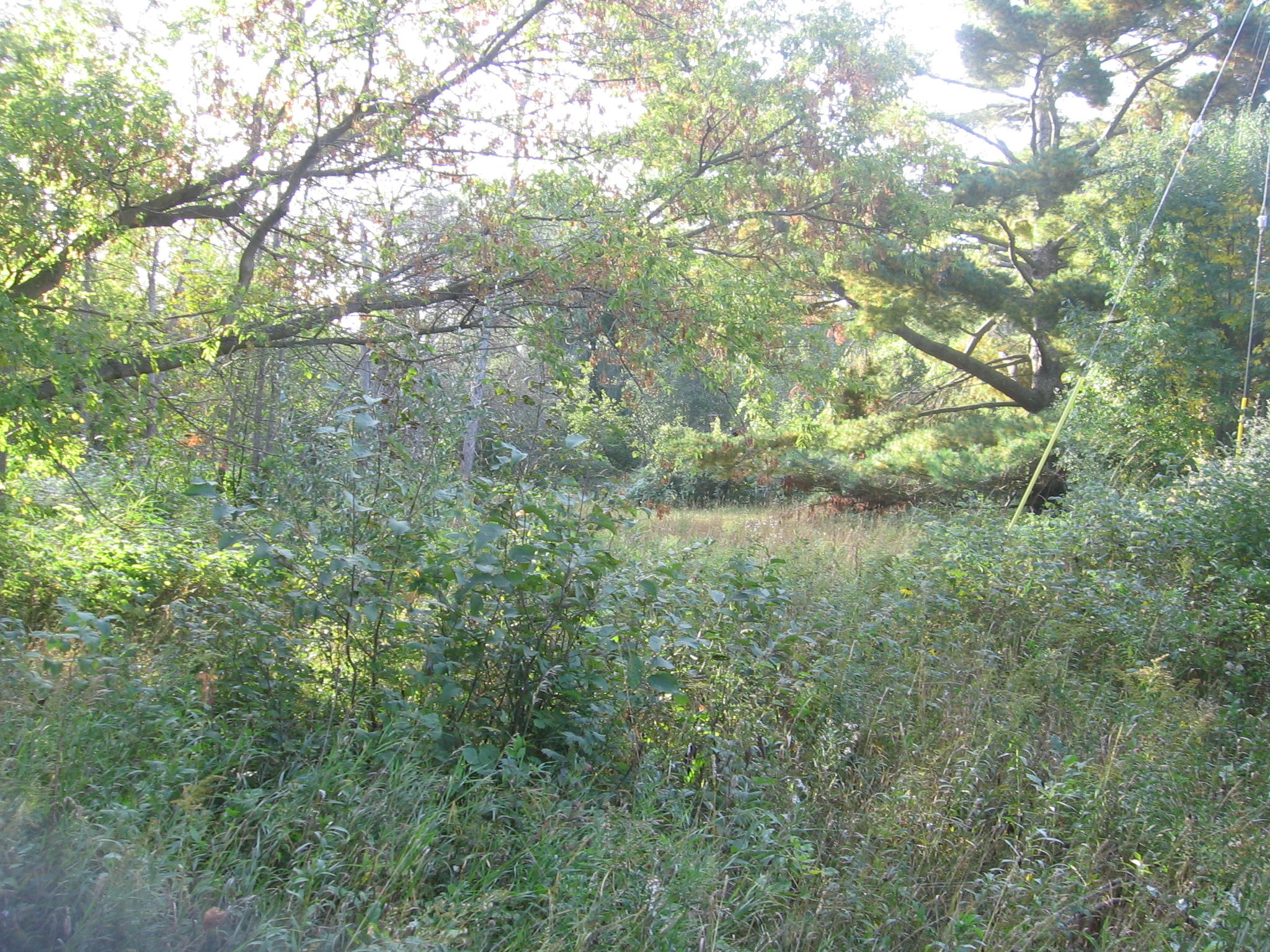 5354 Alger Smith Road Black River, MI 48721 - Photo 14 of 14 Gallery Image 14
