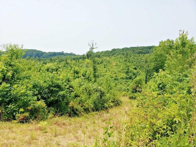 169 County Road 188 Decatur, TN 37322 - Photo 8 of 24