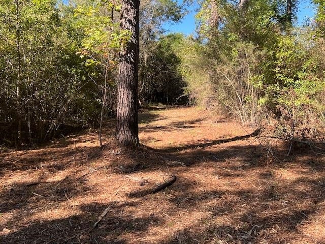 27-ac Babbie Road Andalusia, AL 36421 - Photo 2 of 35 Gallery Image 2