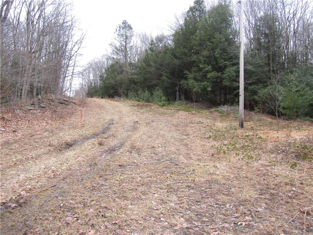 0 Garrett Shortcut Road Garrett, PA 15542 - Photo 4 of 5 Gallery Image 4