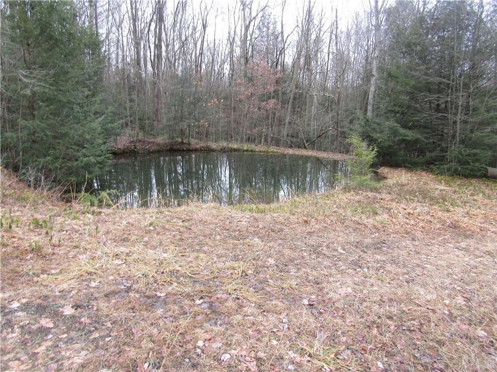 0 Garrett Shortcut Road Garrett, PA 15542 - Photo 5 of 5 Gallery Image 5