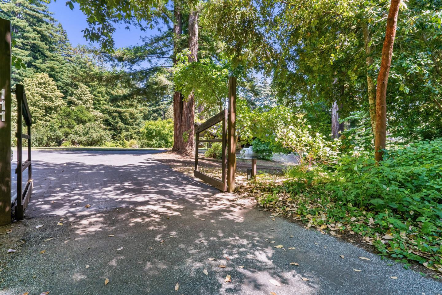 111 Carter Road Santa Cruz, CA 95060 - Photo 47 of 64 a view of a yard with plants and large trees