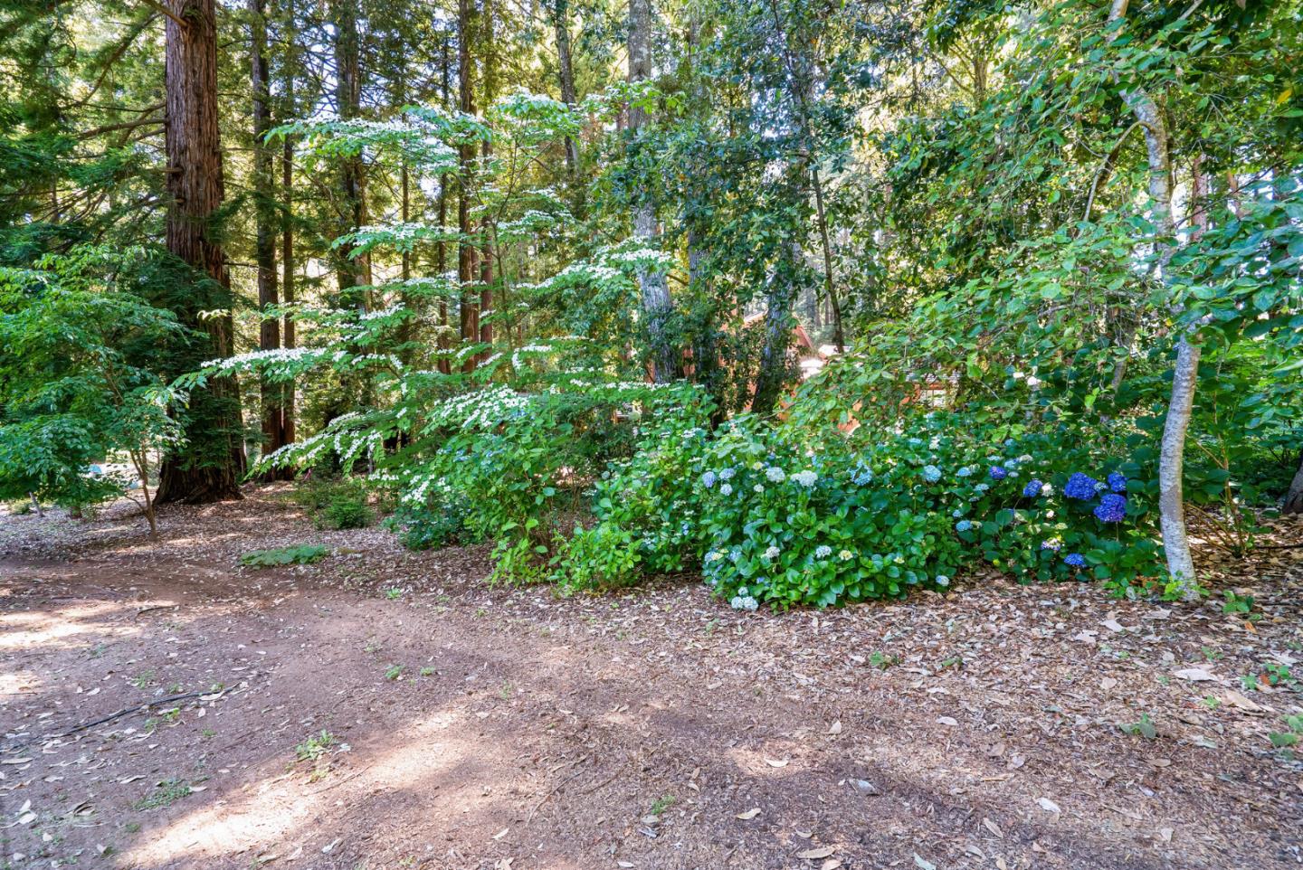 111 Carter Road Santa Cruz, CA 95060 - Photo 53 of 64