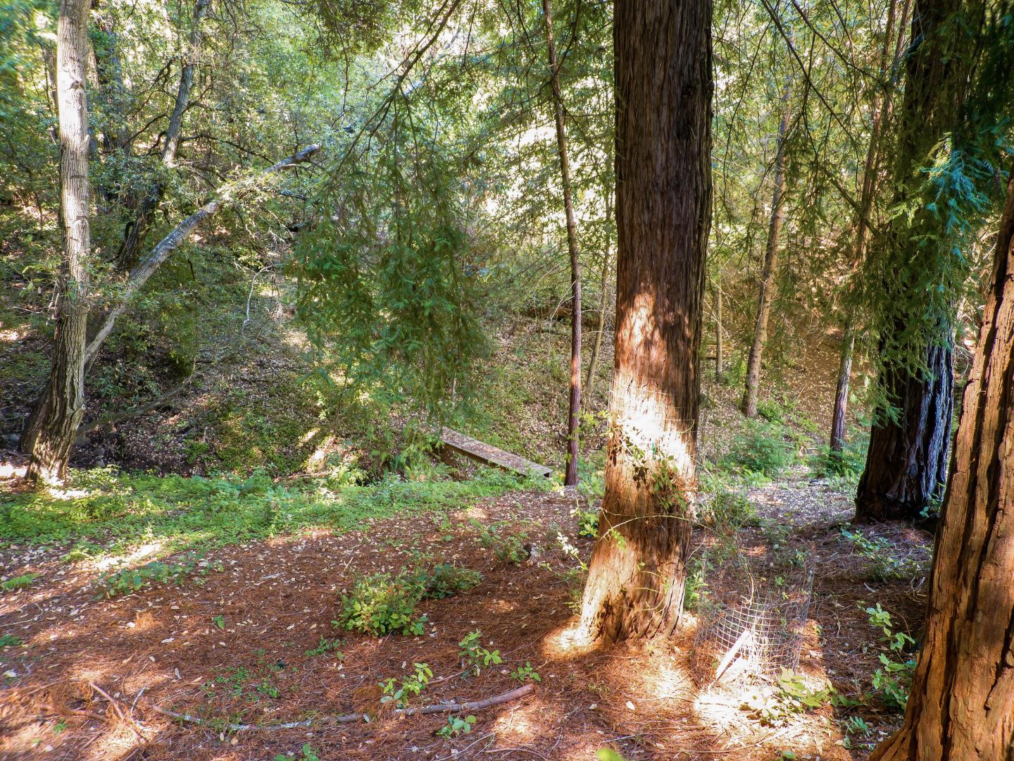 111 Carter Road Santa Cruz, CA 95060 - Photo 54 of 64