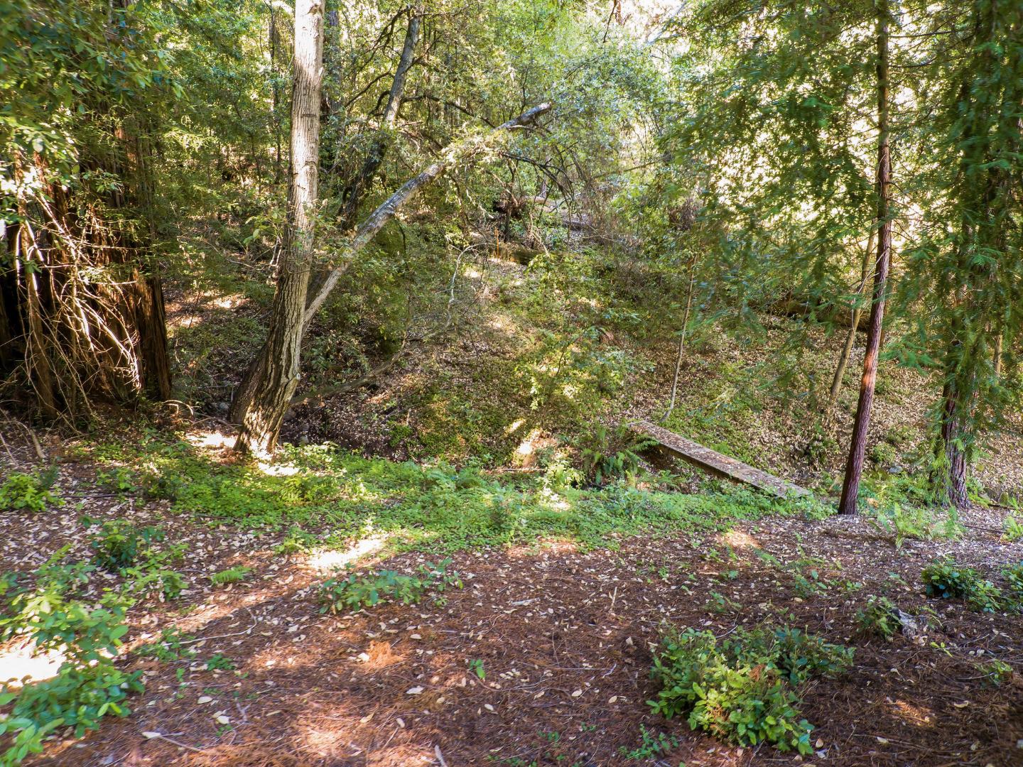 111 Carter Road Santa Cruz, CA 95060 - Photo 55 of 64 a backyard of a house with lots of green space