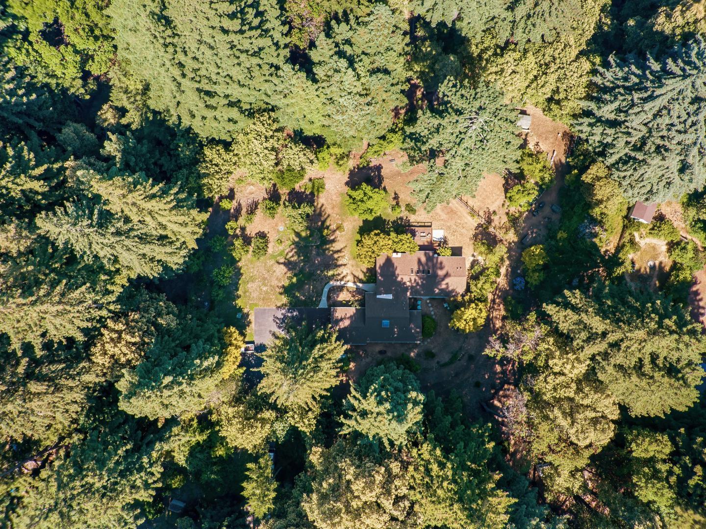111 Carter Road Santa Cruz, CA 95060 - Photo 56 of 64 a view of a tree