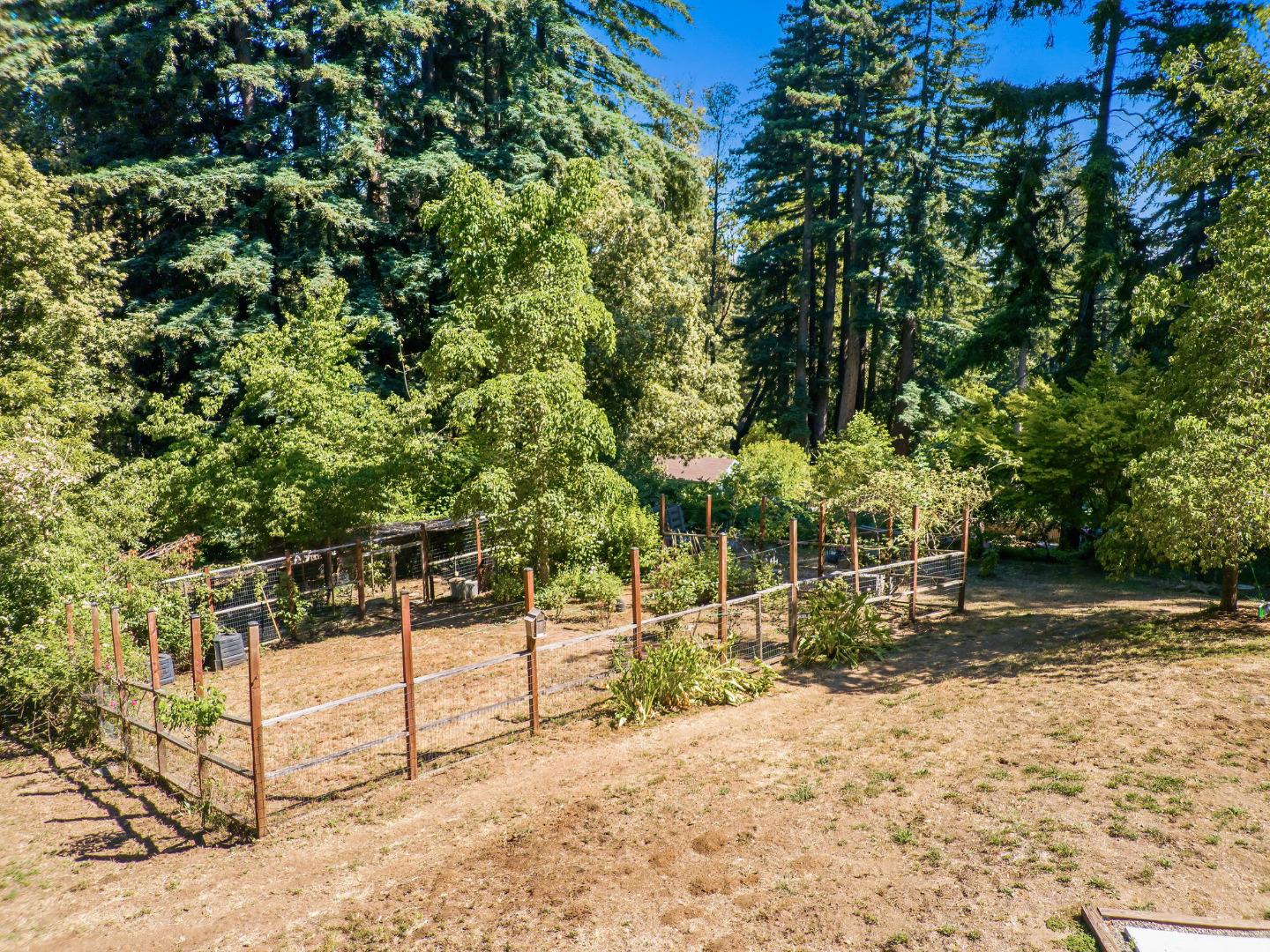 111 Carter Road Santa Cruz, CA 95060 - Photo 58 of 64 a view of a yard with plants and trees