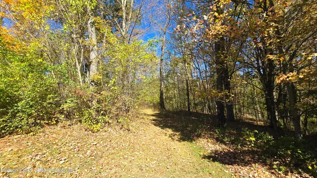 a view of a yard with trees