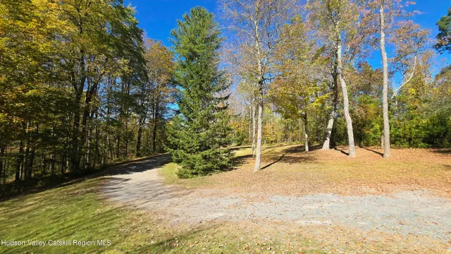 a view of backyard with green space
