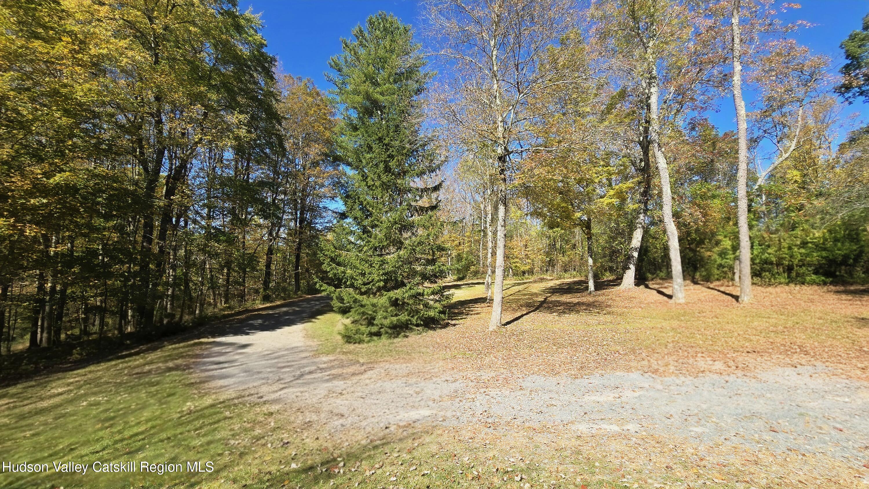 3124-3100 County Rte 9 Canaan, NY 12060 - Photo 7 of 45 a view of backyard with green space