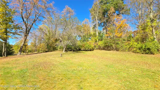 a view of swimming pool and trees