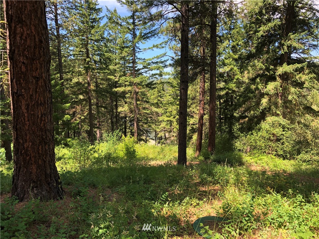 341 Teanaway Terrace Road Cle Elum, WA 98922 - Photo 19 of 22 Gallery Image 19