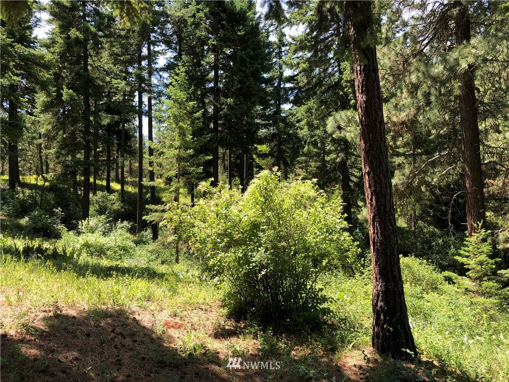 341 Teanaway Terrace Road Cle Elum, WA 98922 - Photo 20 of 22 Gallery Image 20