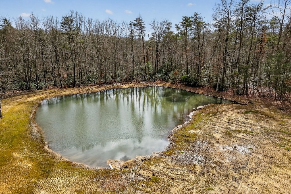 365 Spring Haven Lane Sparta, TN 38583 - Photo 50 of 60 a view of a lake view