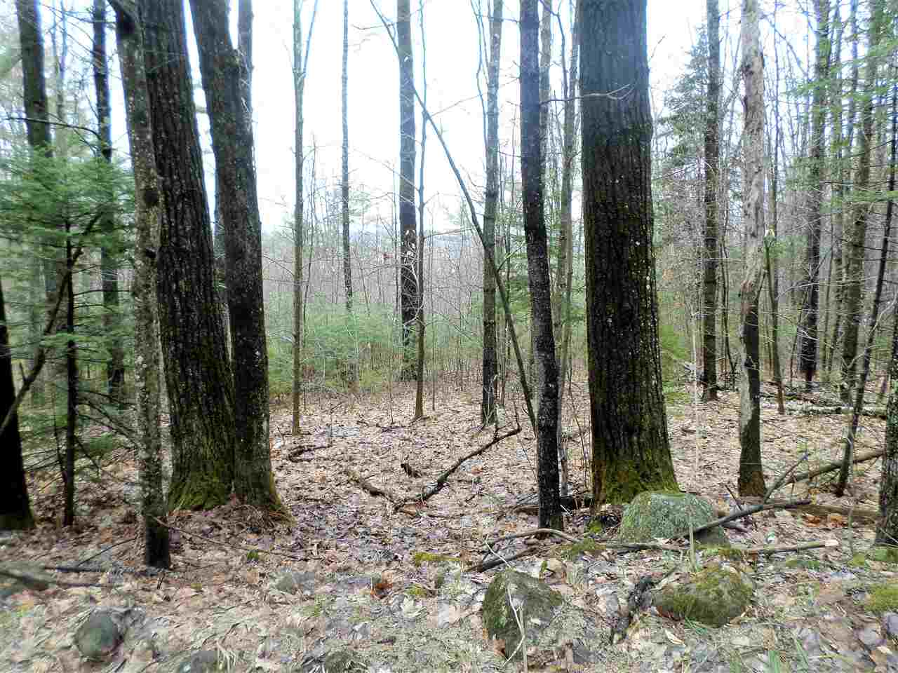 Upper Beech Hill Road Campton, NH 03223 - Photo 2 of 4 Gallery Image 2