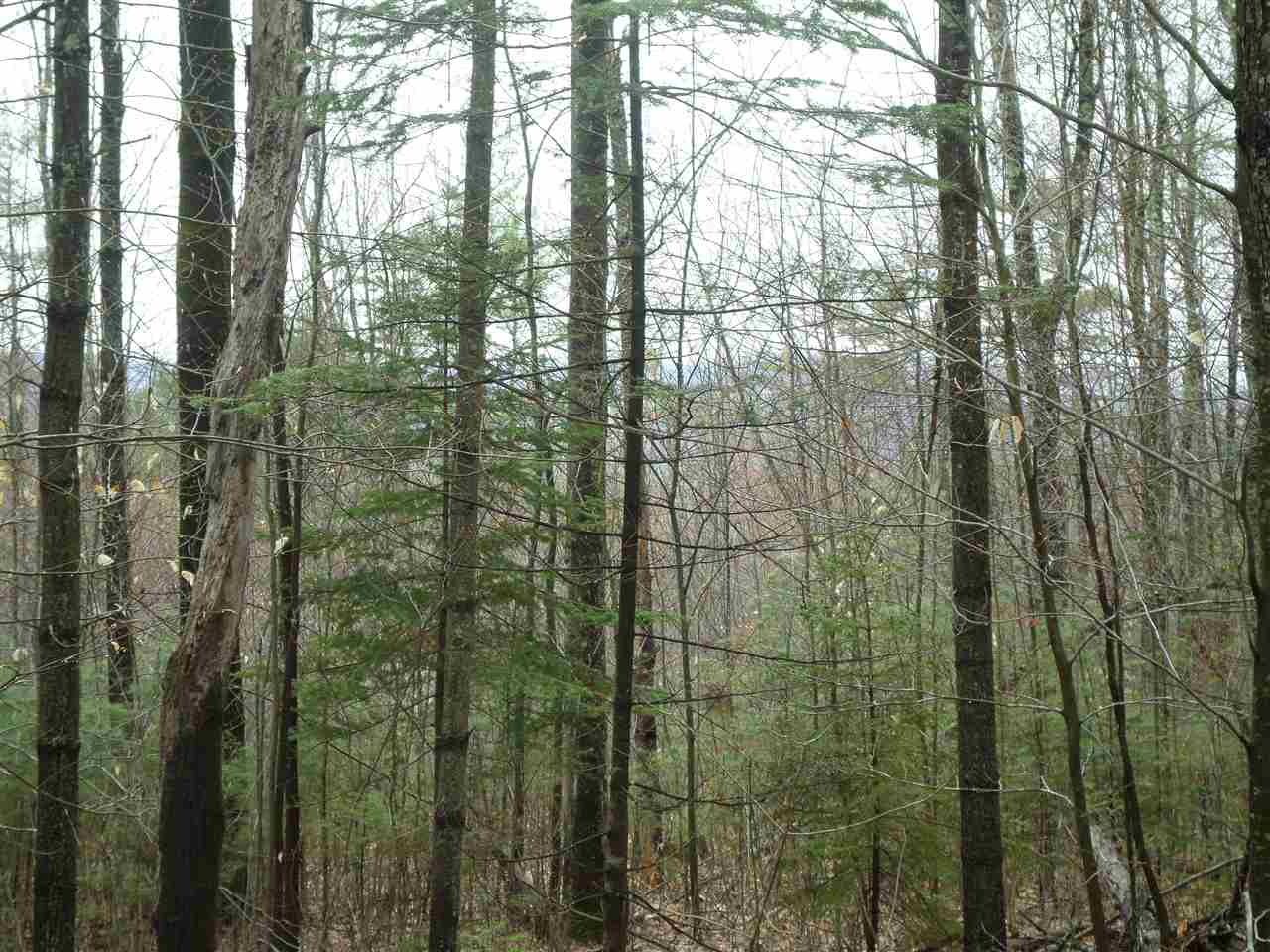 Upper Beech Hill Road Campton, NH 03223 - Photo 3 of 4 Gallery Image 3