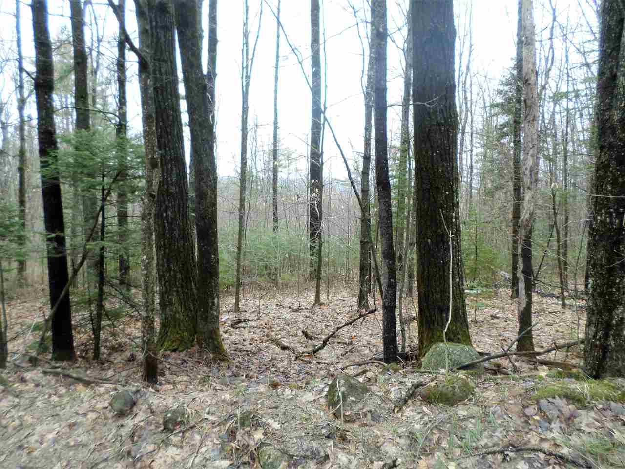Upper Beech Hill Road Campton, NH 03223 - Photo 4 of 4 Gallery Image 4