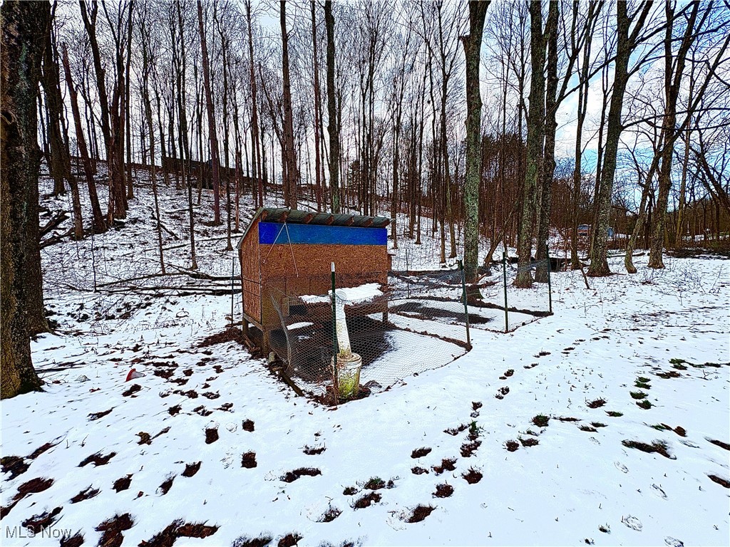 4542 Bloomfield Road Cambridge, OH 43725 - Photo 8 of 22 Chicken coop