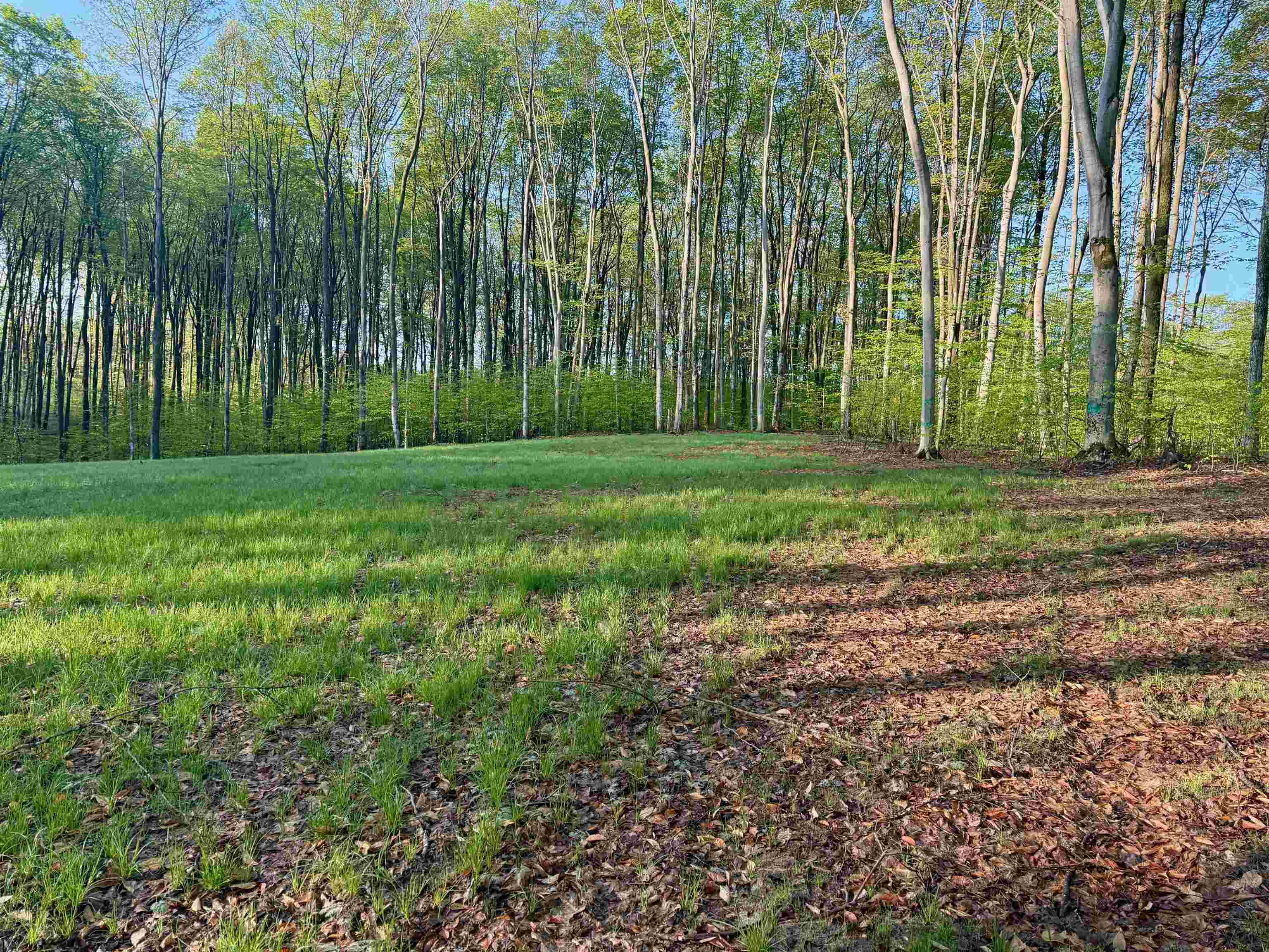 2 South Bright Road, Unit LOT: 2 Maple City, MI 49664 - Photo 3 of 13