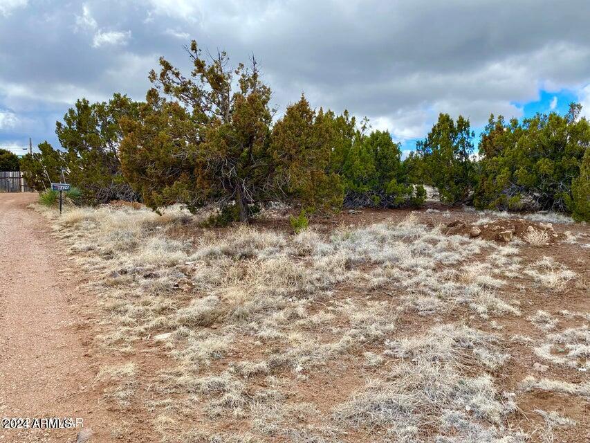 20240312034941010017000000-o