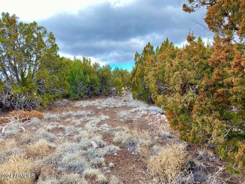 8411 Snowflake Circle Show Low, AZ 85901 - Photo 2 of 8 20240312034452119338000000-o
