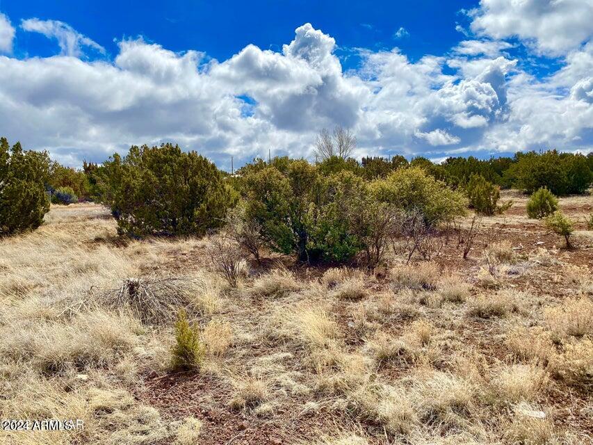 8411 Snowflake Circle Show Low, AZ 85901 - Photo 3 of 8 20240312034153347575000000-o