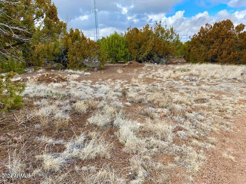 8411 Snowflake Circle Show Low, AZ 85901 - Photo 4 of 8 20240312034849997669000000-o