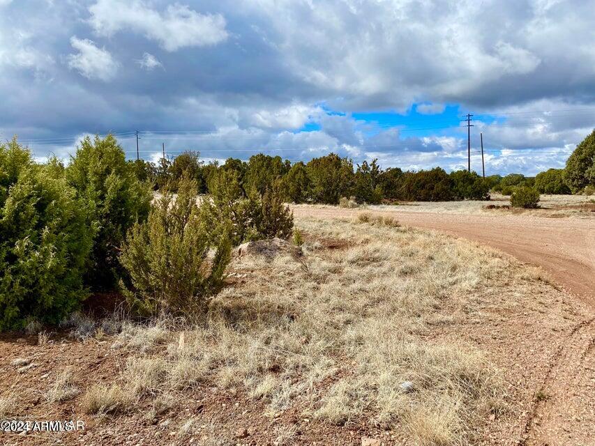 8411 Snowflake Circle Show Low, AZ 85901 - Photo 5 of 8 20240312034108893240000000-o