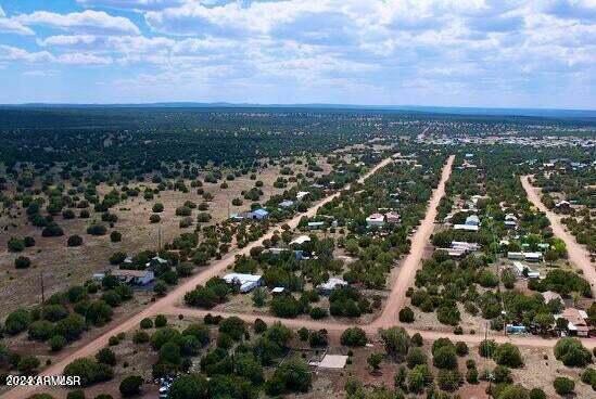 8411 Snowflake Circle Show Low, AZ 85901 - Photo 7 of 8 20230828102458856115000000-o (1)