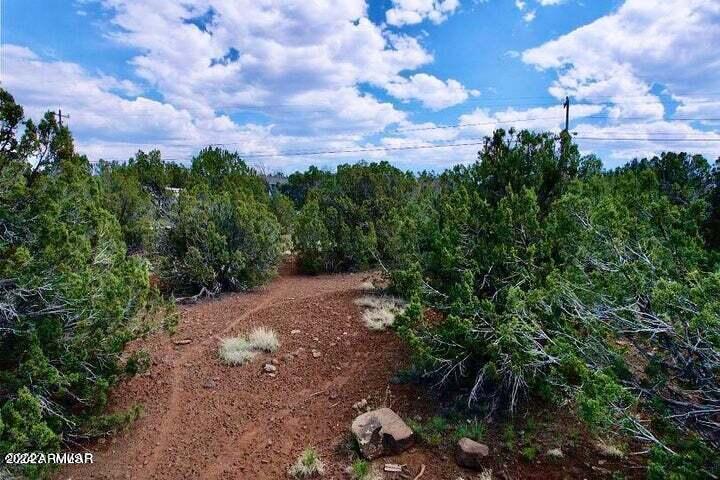 8411 Snowflake Circle Show Low, AZ 85901 - Photo 8 of 8 20230828102006781939000000-o (1)