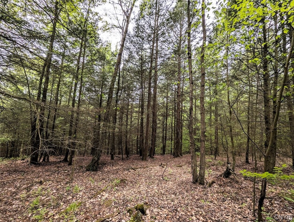 Stewart Road Addison, NY 14801 - Photo 13 of 29