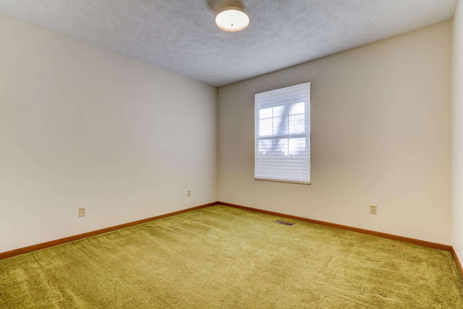 5704 Hickory Valley Road Heiskell, TN 37754 - Photo 10 of 23 Positive Perceptions (15)