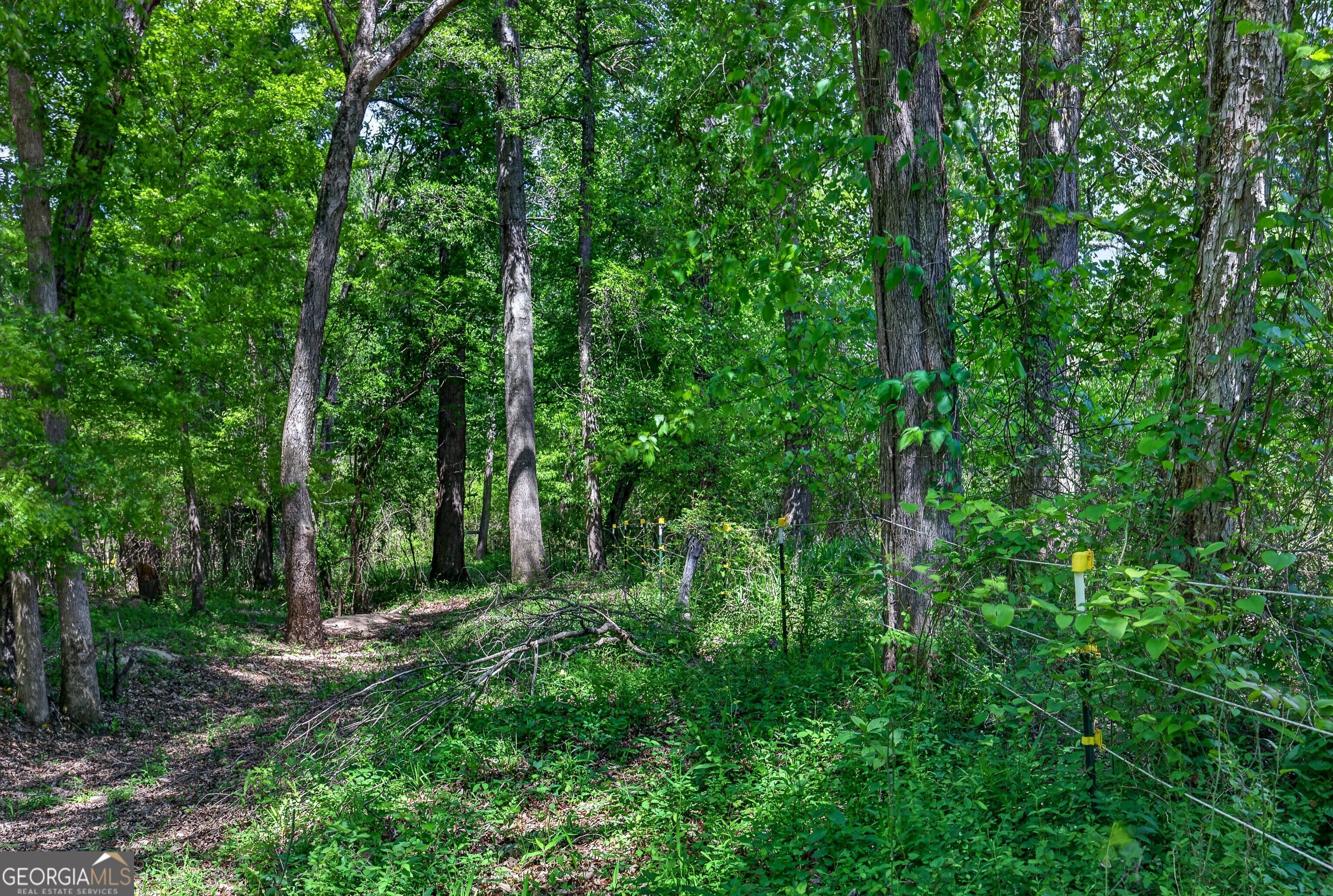 511 West McIntosh Road Brooks, GA 30205 - Photo 64 of 88