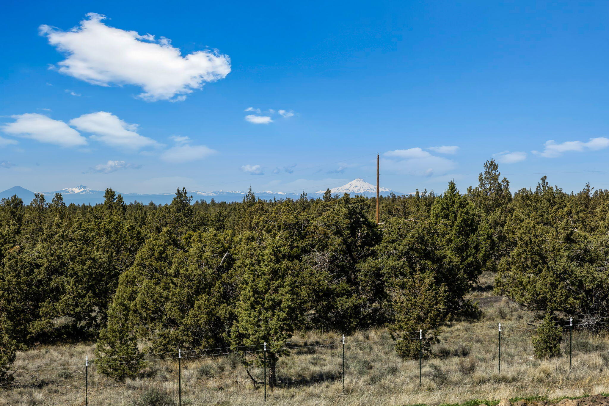 6040 Gravett Road Prineville, OR 97754 - Photo 39 of 77 a view of a bunch of trees