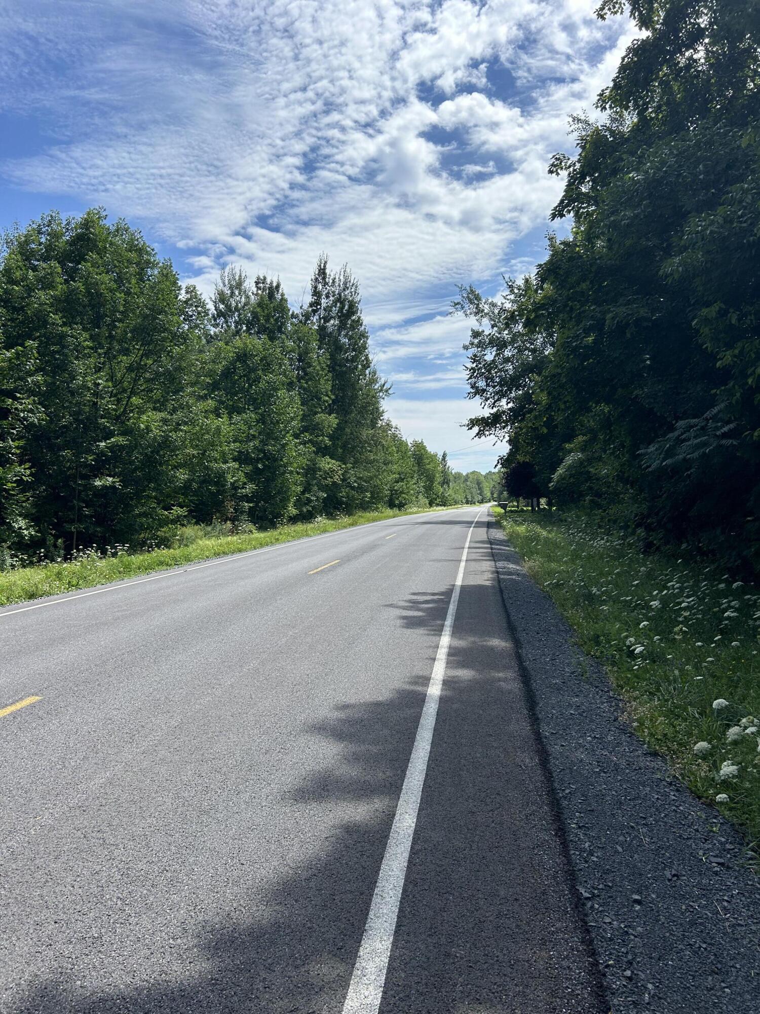 0 Rand Hill Road Altona, NY 12910 - Photo 2 of 4 Road View